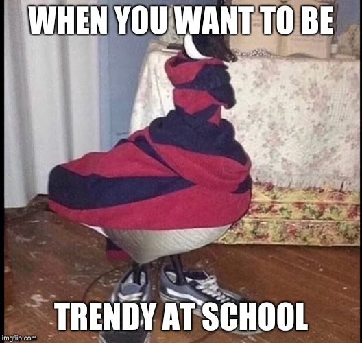 trendy duck | WHEN YOU WANT TO BE; TRENDY AT SCHOOL | image tagged in vans,duck,funny,memes,lol,wth | made w/ Imgflip meme maker