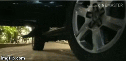 image tagged in gifs | made w/ Imgflip video-to-gif maker