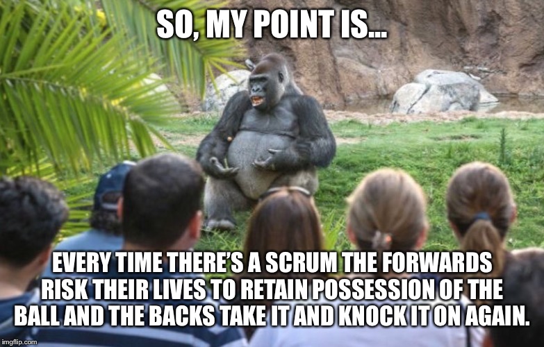 ted talk gorilla | SO, MY POINT IS... EVERY TIME THERE’S A SCRUM THE FORWARDS RISK THEIR LIVES TO RETAIN POSSESSION OF THE BALL AND THE BACKS TAKE IT AND KNOCK IT ON AGAIN. | image tagged in ted talk gorilla | made w/ Imgflip meme maker