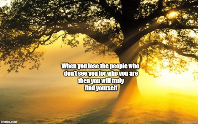 nature | When you lose the people who 
don't see you for who you are
then you will truly
find yourself | image tagged in nature | made w/ Imgflip meme maker