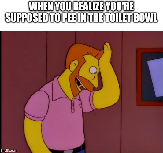My goodness what an idea | WHEN YOU REALIZE YOU'RE SUPPOSED TO PEE IN THE TOILET BOWL | image tagged in my goodness what an idea | made w/ Imgflip meme maker