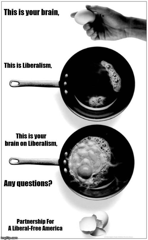 Liberalism is a Mental Disorder! | This is your brain, This is Liberalism, This is your brain on Liberalism, Any questions? Partnership For A Liberal-Free America | image tagged in stupid liberals,maga,trump2020,president trump,liberalism | made w/ Imgflip meme maker