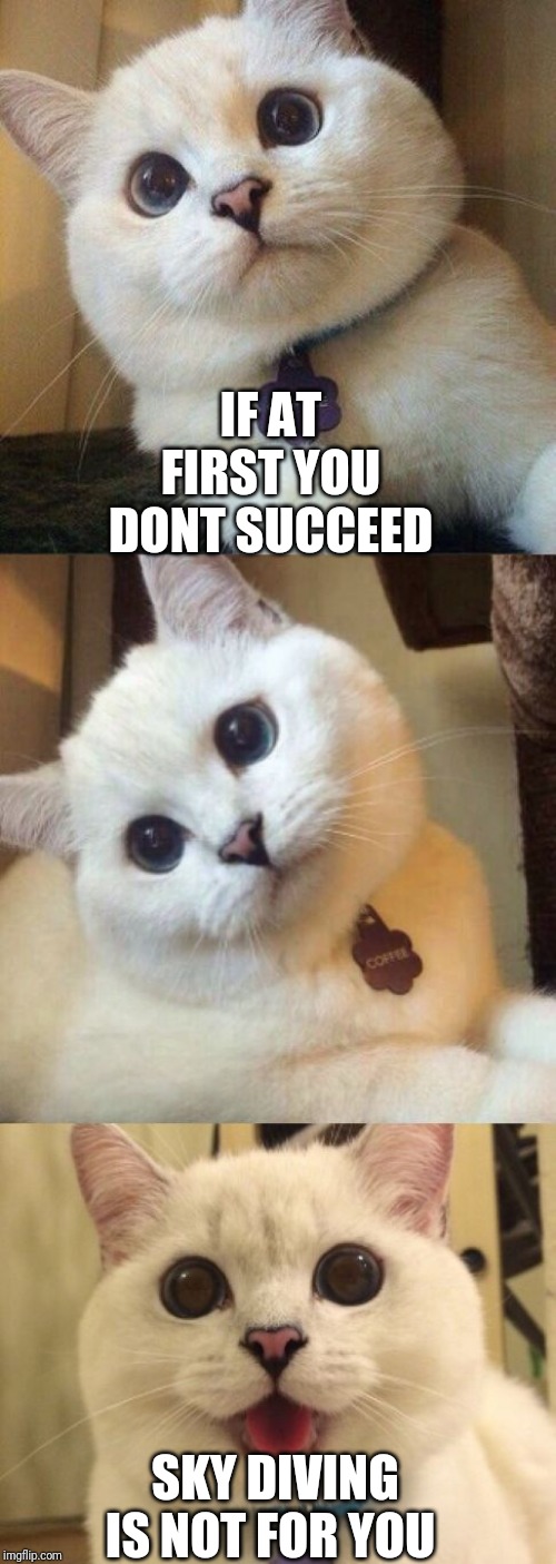 bad pun cat  | IF AT FIRST YOU DONT SUCCEED; SKY DIVING IS NOT FOR YOU | image tagged in bad pun cat | made w/ Imgflip meme maker