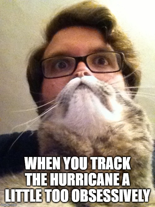 Surprised CatMan |  WHEN YOU TRACK THE HURRICANE A LITTLE TOO OBSESSIVELY | image tagged in memes,surprised catman | made w/ Imgflip meme maker