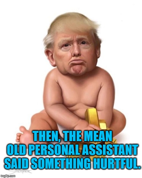 Poor Baby | THEN, THE MEAN OLD PERSONAL ASSISTANT SAID SOMETHING HURTFUL. | image tagged in funny | made w/ Imgflip meme maker