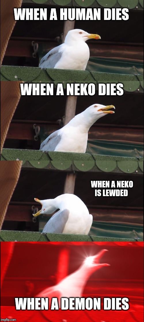 Me in half a nutshell | WHEN A HUMAN DIES; WHEN A NEKO DIES; WHEN A NEKO IS LEWDED; WHEN A DEMON DIES | image tagged in memes,inhaling seagull | made w/ Imgflip meme maker