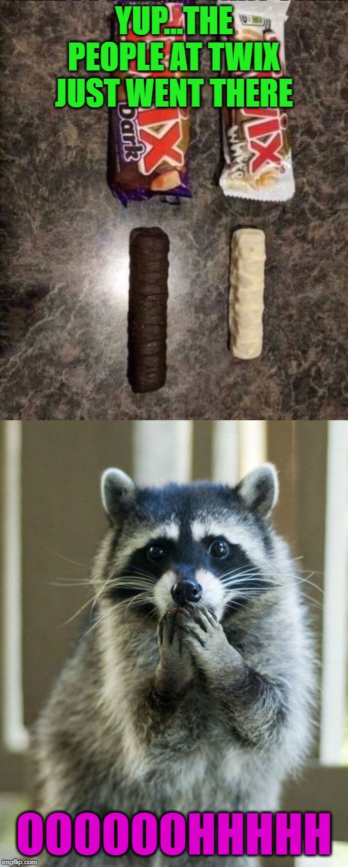 That marketing dude just made friends and enemies...LOL |  YUP...THE PEOPLE AT TWIX JUST WENT THERE; OOOOOOHHHHH | image tagged in ashamed raccoon,memes,twix,funny,advertising,marketing | made w/ Imgflip meme maker