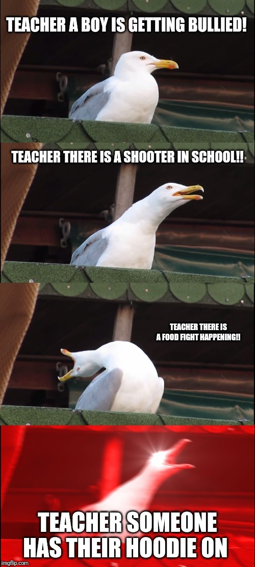 Inhaling Seagull | TEACHER A BOY IS GETTING BULLIED! TEACHER THERE IS A SHOOTER IN SCHOOL!! TEACHER THERE IS A FOOD FIGHT HAPPENING!! TEACHER SOMEONE HAS THEIR HOODIE ON | image tagged in memes,inhaling seagull | made w/ Imgflip meme maker