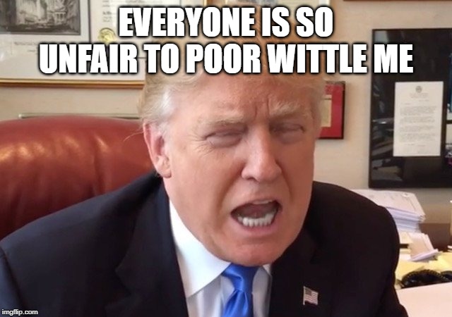 trump crying | EVERYONE IS SO UNFAIR TO POOR WITTLE ME | image tagged in trump crying | made w/ Imgflip meme maker
