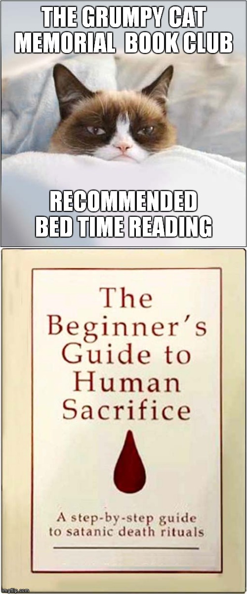 Grumpy Memorial Book Club | THE GRUMPY CAT MEMORIAL  BOOK CLUB; RECOMMENDED BED TIME READING | image tagged in fun,grumpy cat | made w/ Imgflip meme maker