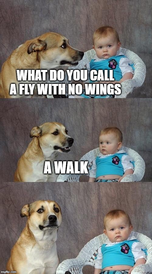 Dad Joke Dog Meme | WHAT DO YOU CALL A FLY WITH NO WINGS A WALK | image tagged in memes,dad joke dog | made w/ Imgflip meme maker