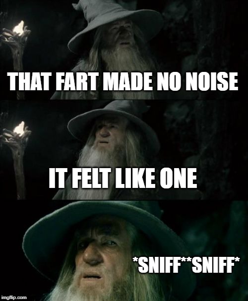 Confused Gandalf Meme | THAT FART MADE NO NOISE IT FELT LIKE ONE *SNIFF**SNIFF* | image tagged in memes,confused gandalf | made w/ Imgflip meme maker