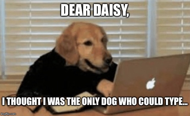 DEAR DAISY, I THOUGHT I WAS THE ONLY DOG WHO COULD TYPE... | made w/ Imgflip meme maker