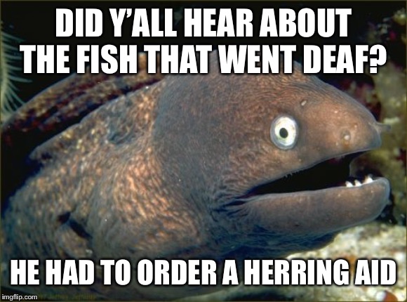 Bad Joke Eel | DID Y’ALL HEAR ABOUT THE FISH THAT WENT DEAF? HE HAD TO ORDER A HERRING AID | image tagged in memes,bad joke eel | made w/ Imgflip meme maker