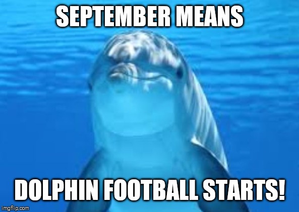 For any Miami Dolphins fans | SEPTEMBER MEANS; DOLPHIN FOOTBALL STARTS! | image tagged in dolphin,memes,nfl,miami dolphins | made w/ Imgflip meme maker