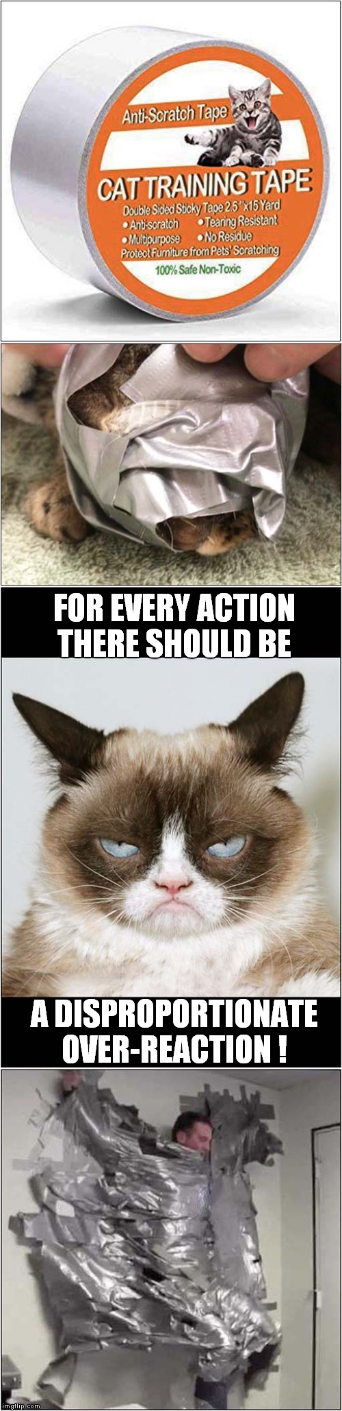 Always Read The Instructions | FOR EVERY ACTION THERE SHOULD BE; A DISPROPORTIONATE OVER-REACTION ! | image tagged in fun,cats,grumpy cat | made w/ Imgflip meme maker