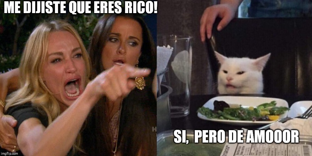 Woman yelling at cat | ME DIJISTE QUE ERES RICO! SI,  PERO DE AMOOOR | image tagged in woman yelling at cat | made w/ Imgflip meme maker