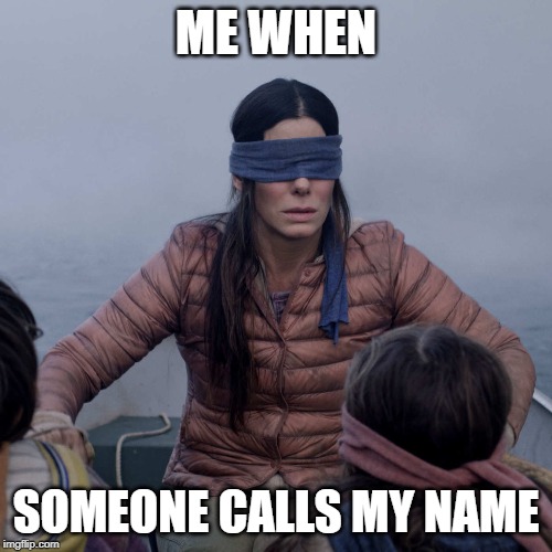 Bird Box | ME WHEN; SOMEONE CALLS MY NAME | image tagged in memes,bird box | made w/ Imgflip meme maker