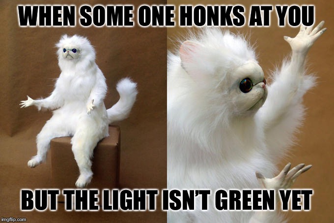 Persian Cat Room Guardian | WHEN SOME ONE HONKS AT YOU; BUT THE LIGHT ISN’T GREEN YET | image tagged in memes,persian cat room guardian | made w/ Imgflip meme maker