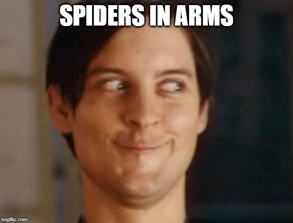 Spiderman Peter Parker Meme | SPIDERS IN ARMS | image tagged in memes,spiderman peter parker | made w/ Imgflip meme maker