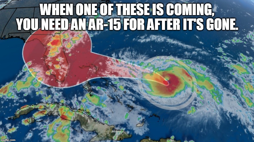 Dorian | WHEN ONE OF THESE IS COMING, YOU NEED AN AR-15 FOR AFTER IT'S GONE. | image tagged in hurricane dorian,gun,looters,hurricane | made w/ Imgflip meme maker