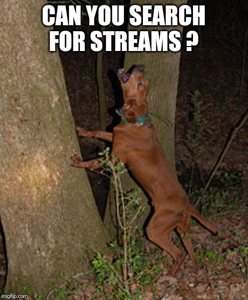 Redbone coonhound coonhunting | CAN YOU SEARCH FOR STREAMS ? | image tagged in redbone coonhound coonhunting | made w/ Imgflip meme maker