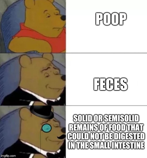 fancy poop | POOP; FECES; SOLID OR SEMISOLID REMAINS OF FOOD THAT COULD NOT BE DIGESTED IN THE SMALL INTESTINE | image tagged in fancy pooh,funny,poop,memes,tuxedo pooh,winnie the pooh | made w/ Imgflip meme maker