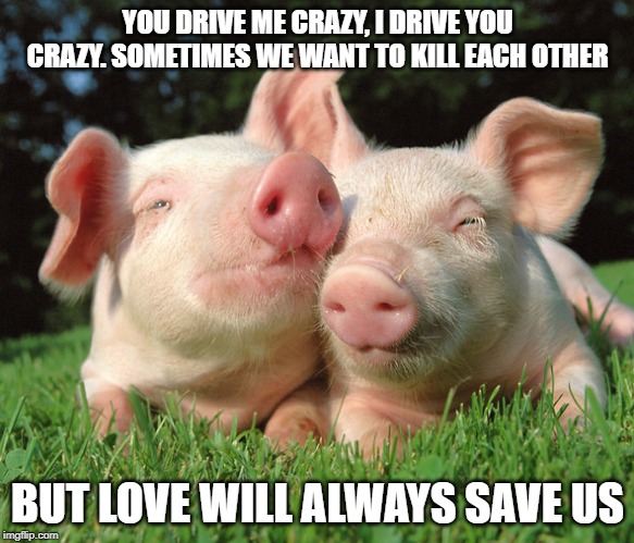 Relationships | YOU DRIVE ME CRAZY, I DRIVE YOU CRAZY. SOMETIMES WE WANT TO KILL EACH OTHER; BUT LOVE WILL ALWAYS SAVE US | image tagged in love | made w/ Imgflip meme maker