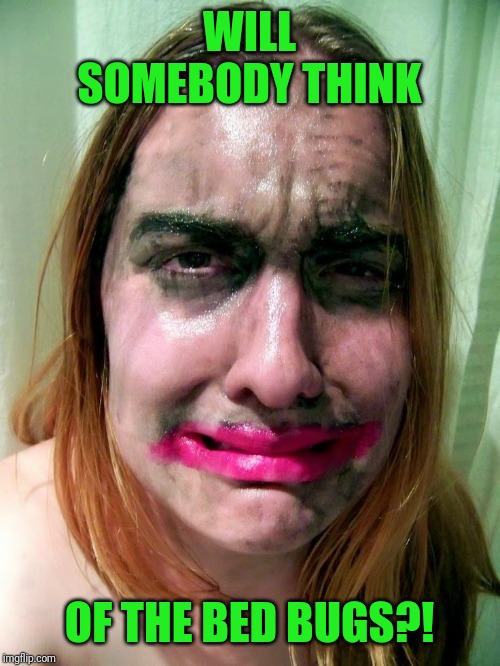 WILL SOMEBODY THINK OF THE BED BUGS?! | made w/ Imgflip meme maker