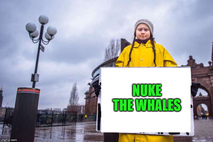 Greta Thunberg | NUKE THE WHALES | image tagged in greta thunberg | made w/ Imgflip meme maker