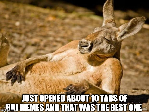 JUST OPENED ABOUT 10 TABS OF RDJ MEMES AND THAT WAS THE BEST ONE | image tagged in chillin kangaroo | made w/ Imgflip meme maker