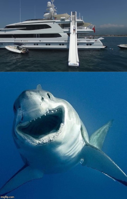 image tagged in shark,boat | made w/ Imgflip meme maker