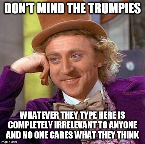 Creepy Condescending Wonka | DON'T MIND THE TRUMPIES; WHATEVER THEY TYPE HERE IS COMPLETELY IRRELEVANT TO ANYONE AND NO ONE CARES WHAT THEY THINK | image tagged in memes,creepy condescending wonka | made w/ Imgflip meme maker