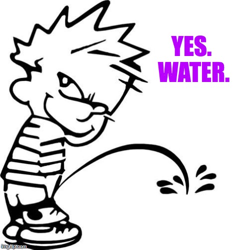 Calvin Peeing | YES.  WATER. | image tagged in calvin peeing | made w/ Imgflip meme maker