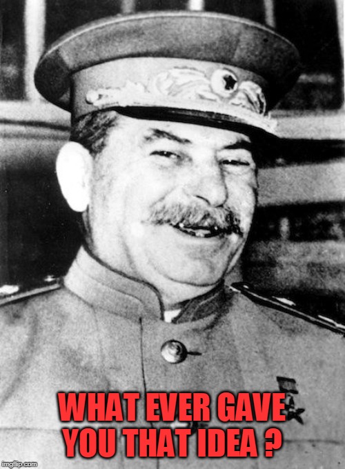 Stalin smile | WHAT EVER GAVE YOU THAT IDEA ? | image tagged in stalin smile | made w/ Imgflip meme maker