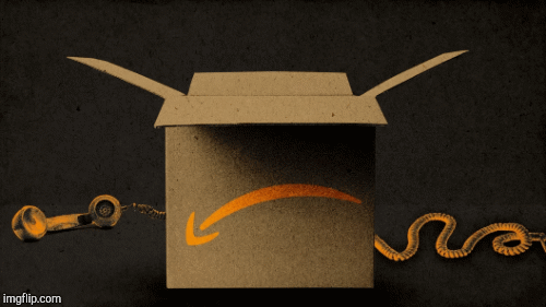 Amazon An Hero | image tagged in gifs,memes | made w/ Imgflip images-to-gif maker