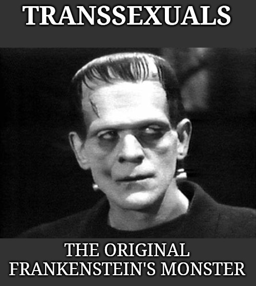frankenstein | TRANSSEXUALS; THE ORIGINAL FRANKENSTEIN'S MONSTER | image tagged in frankenstein,transsexual | made w/ Imgflip meme maker