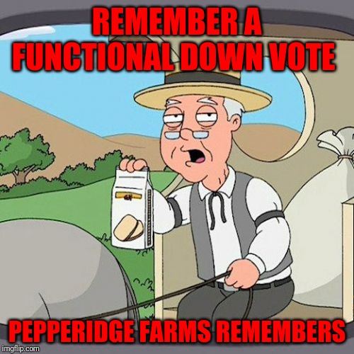 Pepperidge Farm Remembers Meme | REMEMBER A FUNCTIONAL DOWN VOTE; PEPPERIDGE FARMS REMEMBERS | image tagged in memes,pepperidge farm remembers | made w/ Imgflip meme maker