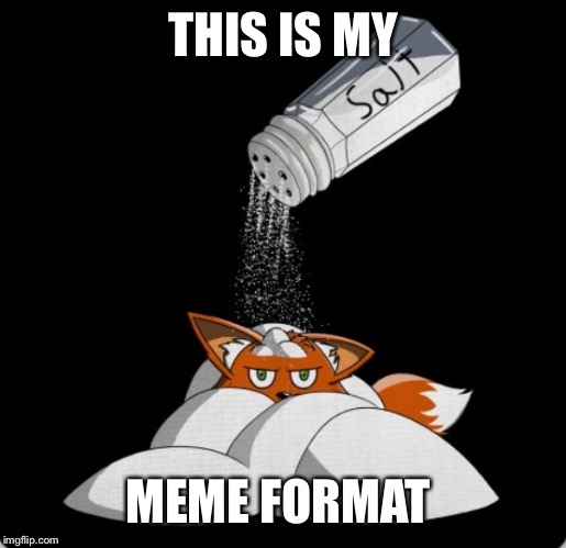 Salty Fox | THIS IS MY; MEME FORMAT | image tagged in salty fox | made w/ Imgflip meme maker
