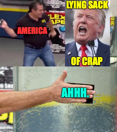 You see what you did there?  ( : | LYING SACK; AMERICA; OF CRAP; AHHH. | image tagged in flex tape,memes,trump lies,ahhhhh,make america peaceful again | made w/ Imgflip meme maker