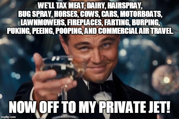 Leonardo Dicaprio Cheers Meme | WE'LL TAX MEAT, DAIRY, HAIRSPRAY, BUG SPRAY, HORSES, COWS, CARS, MOTORBOATS, LAWNMOWERS, FIREPLACES, FARTING, BURPING, PUKING, PEEING, POOPING, AND COMMERCIAL AIR TRAVEL. NOW OFF TO MY PRIVATE JET! | image tagged in memes,leonardo dicaprio cheers | made w/ Imgflip meme maker