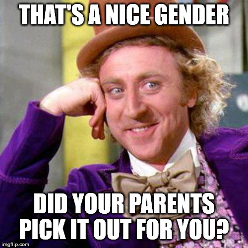 Willy Wonka Blank | THAT'S A NICE GENDER; DID YOUR PARENTS PICK IT OUT FOR YOU? | image tagged in willy wonka blank | made w/ Imgflip meme maker