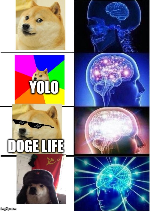 evolution of doge |  YOLO; DOGE LIFE | image tagged in memes,expanding brain | made w/ Imgflip meme maker