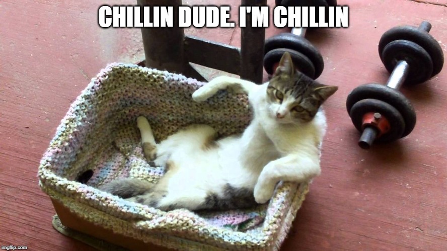 CHILLIN DUDE. I'M CHILLIN | made w/ Imgflip meme maker