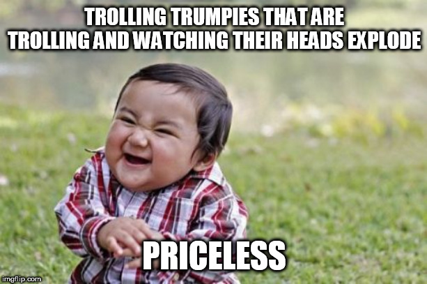 Evil Toddler | TROLLING TRUMPIES THAT ARE TROLLING AND WATCHING THEIR HEADS EXPLODE; PRICELESS | image tagged in memes,evil toddler | made w/ Imgflip meme maker