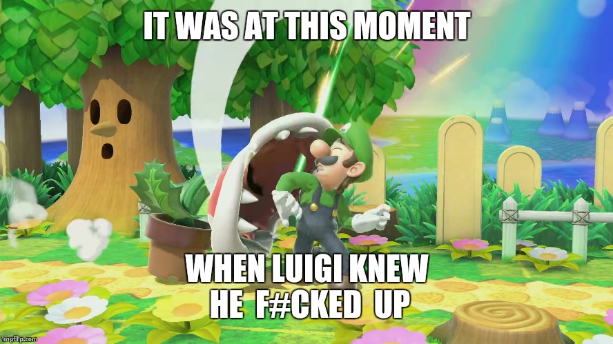 TOO BAD LUIGI | IT WAS AT THIS MOMENT; WHEN LUIGI KNEW
 HE  F#CKED  UP | image tagged in super mario,luigi,super mario bros | made w/ Imgflip meme maker
