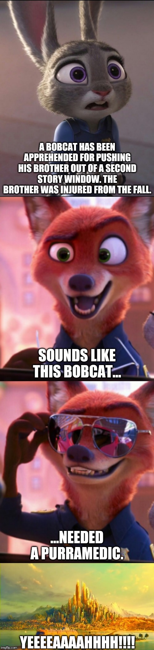 CSI: Zootopia 20 | A BOBCAT HAS BEEN APPREHENDED FOR PUSHING HIS BROTHER OUT OF A SECOND STORY WINDOW. THE BROTHER WAS INJURED FROM THE FALL. SOUNDS LIKE THIS BOBCAT... ...NEEDED A PURRAMEDIC. YEEEEAAAAHHHH!!!! | image tagged in csi zootopia,zootopia,judy hopps,nick wilde,parody,funny | made w/ Imgflip meme maker