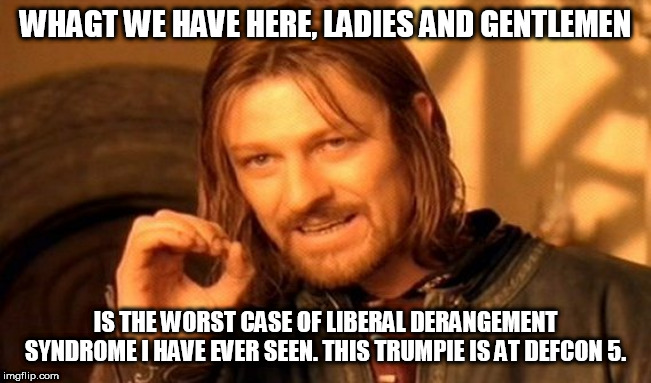 One Does Not Simply | WHAGT WE HAVE HERE, LADIES AND GENTLEMEN; IS THE WORST CASE OF LIBERAL DERANGEMENT SYNDROME I HAVE EVER SEEN. THIS TRUMPIE IS AT DEFCON 5. | image tagged in memes,one does not simply | made w/ Imgflip meme maker