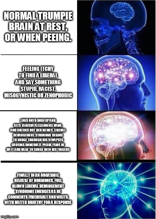 Expanding Brain | NORMAL TRUMPIE BRAIN AT REST, OR WHEN PEEING. FEELING ITCHY TO FIND A LIBERAL AND SAY SOMETHING STUPID, RACIST, MISOGYNISTIC OR ZENOPHOBIC; LOGS ONTO IMGFLIP AND SEES TARISSA ALEXANDERS NAME, AND CHECKS OUT HER MEMES. LIBERAL DERANGEMENT SYNDROME BEGINS TO SURGE THROUGH HIS SYNAPSES CAUSING IMMEDIATE PAROXYSMS OF HATE AND RAGE TO SURGE INTO HIS FINGERS; FINALLY IN AN ORGASMIC RELEASE OF HORMONES, FULL BLOWN LIBERAL DERANGEMENT SYNDROME EMERGES AS HE COMMENTS FEVERISHLY AND WAITS WITH BAITED BREATHY FOR A RESPONSE | image tagged in memes,expanding brain | made w/ Imgflip meme maker