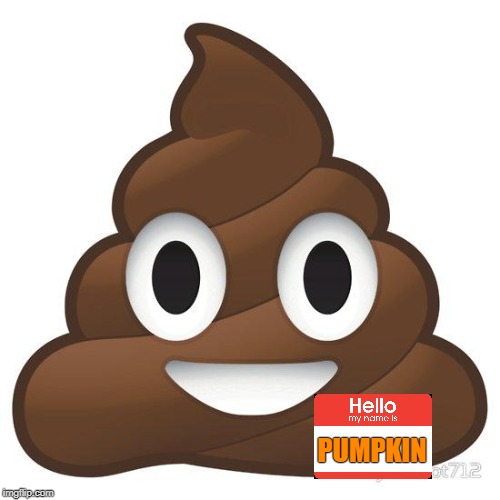 poop | PUMPKIN | image tagged in poop | made w/ Imgflip meme maker